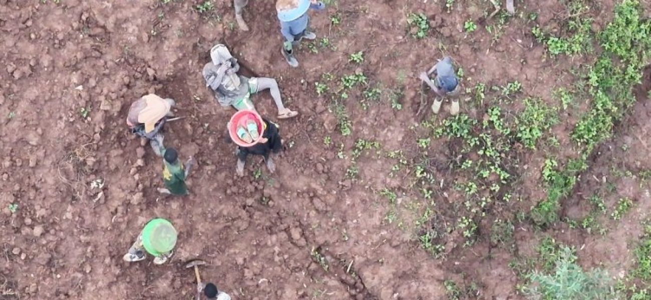 image_750x_68d3c35d1efdc