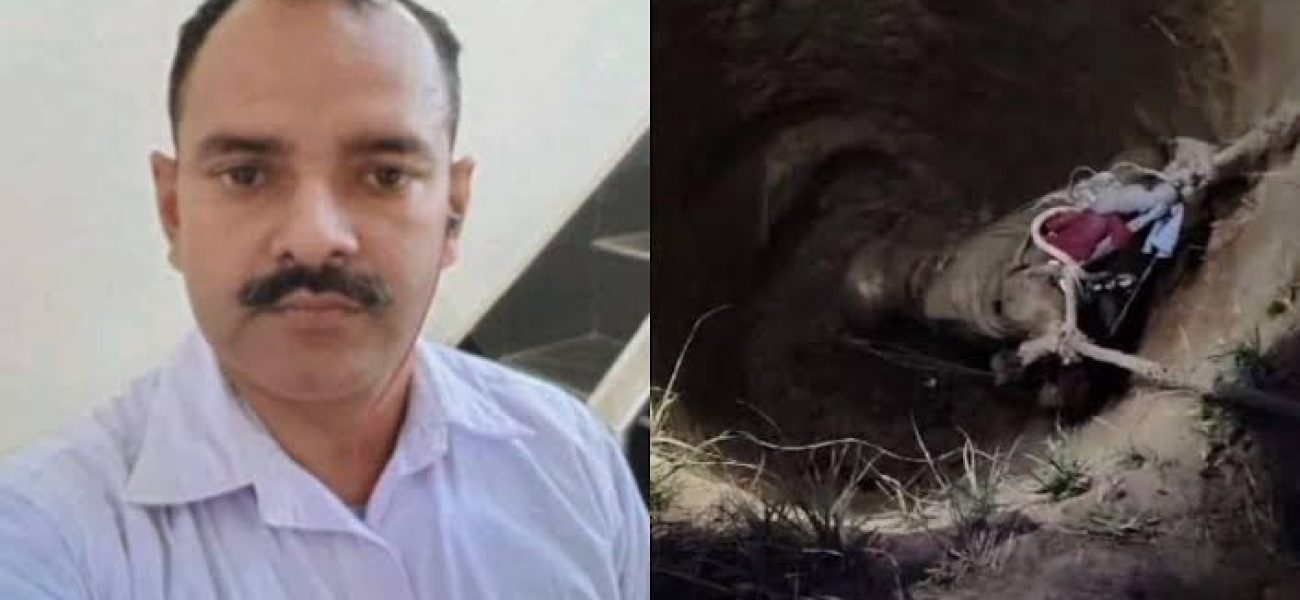 images (4) (19)_1743069456