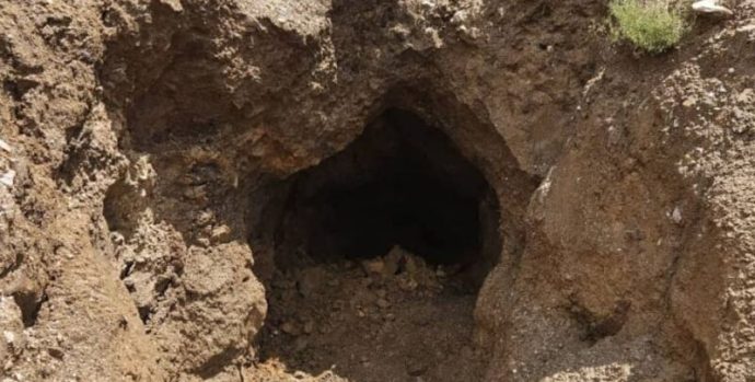 miner-800x445