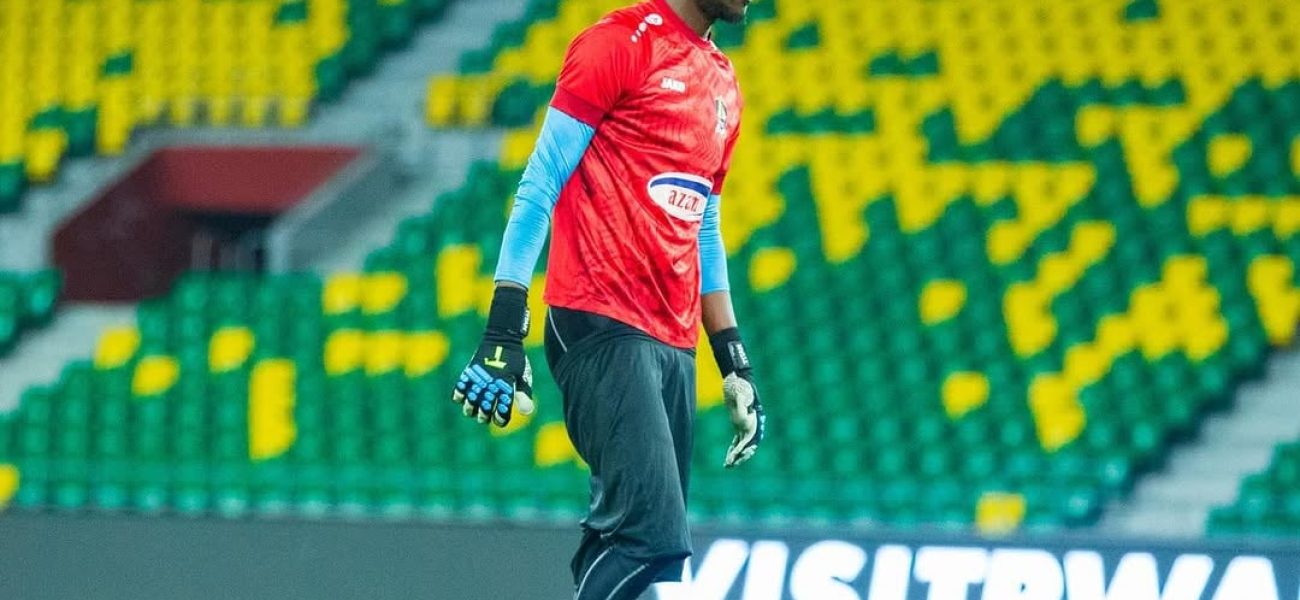 p_ndzila25_aaab7ac0f146416fabae2c275e1c21c3