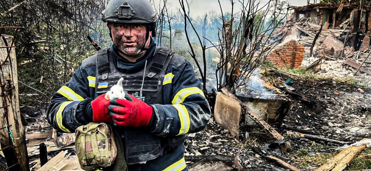 photo_2025-05-12103809