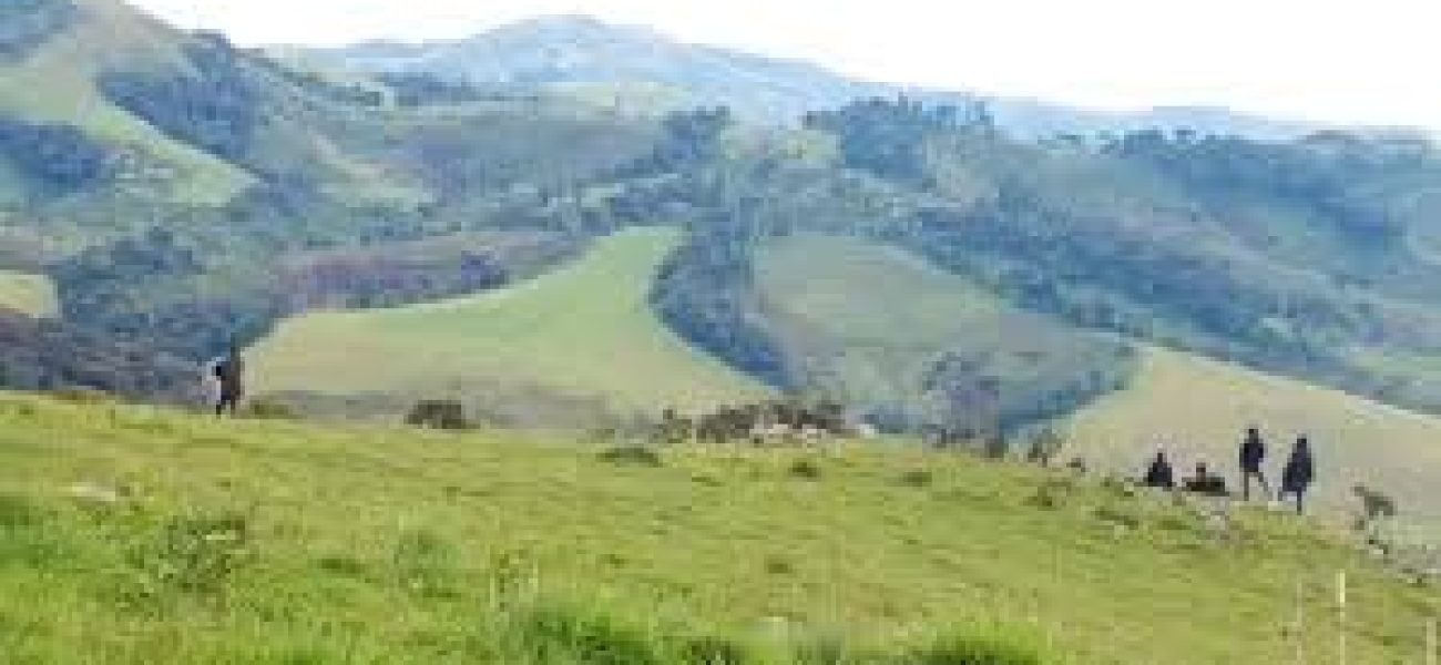 téléchargement (14)