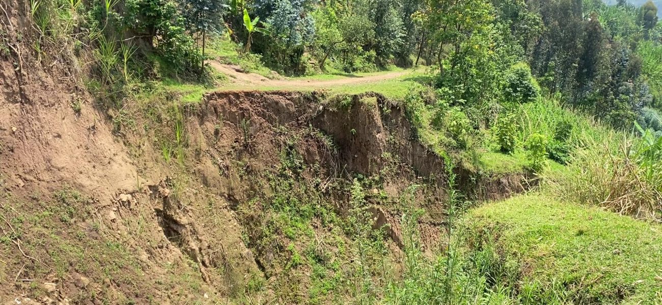 vlcsnap-2024-10-30-07h47m17s912