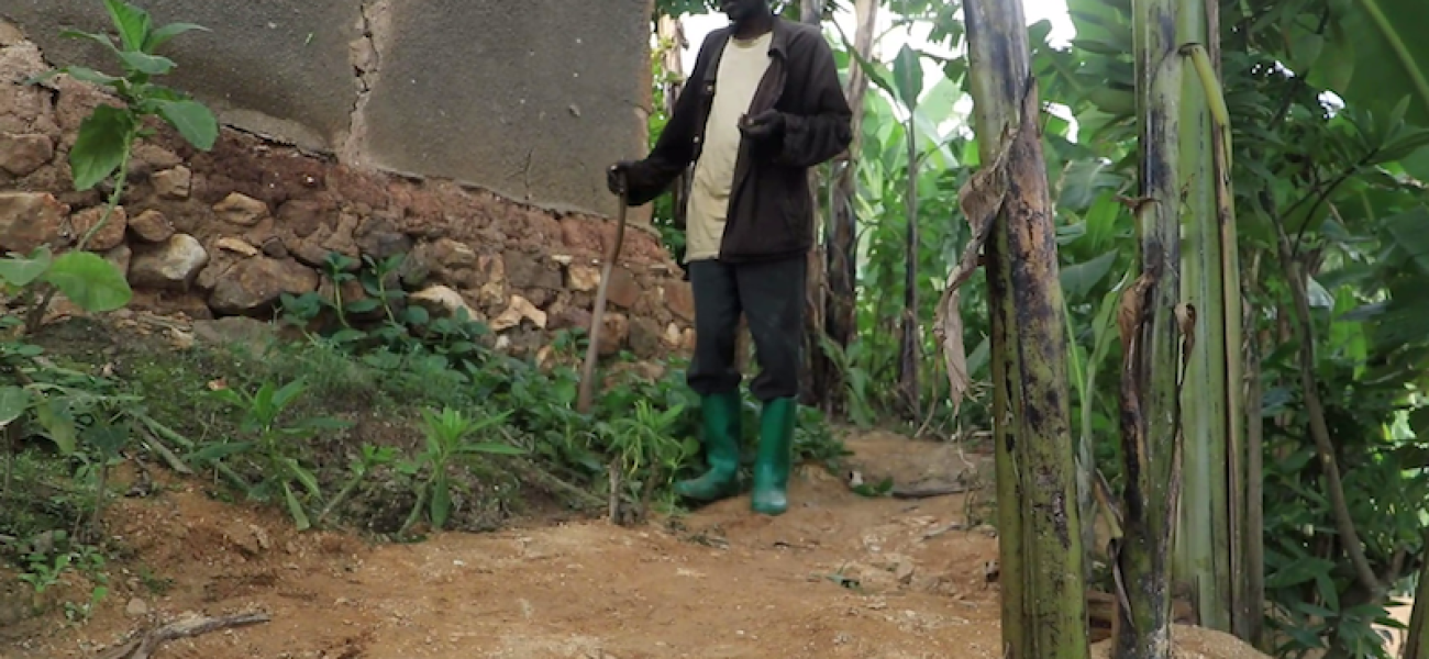 vlcsnap-2025-06-27-09h39m47s038