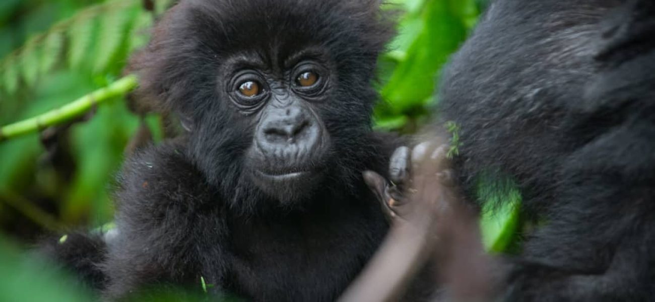 whatsapp_image_2024-10-08_at_1.35_17_pm